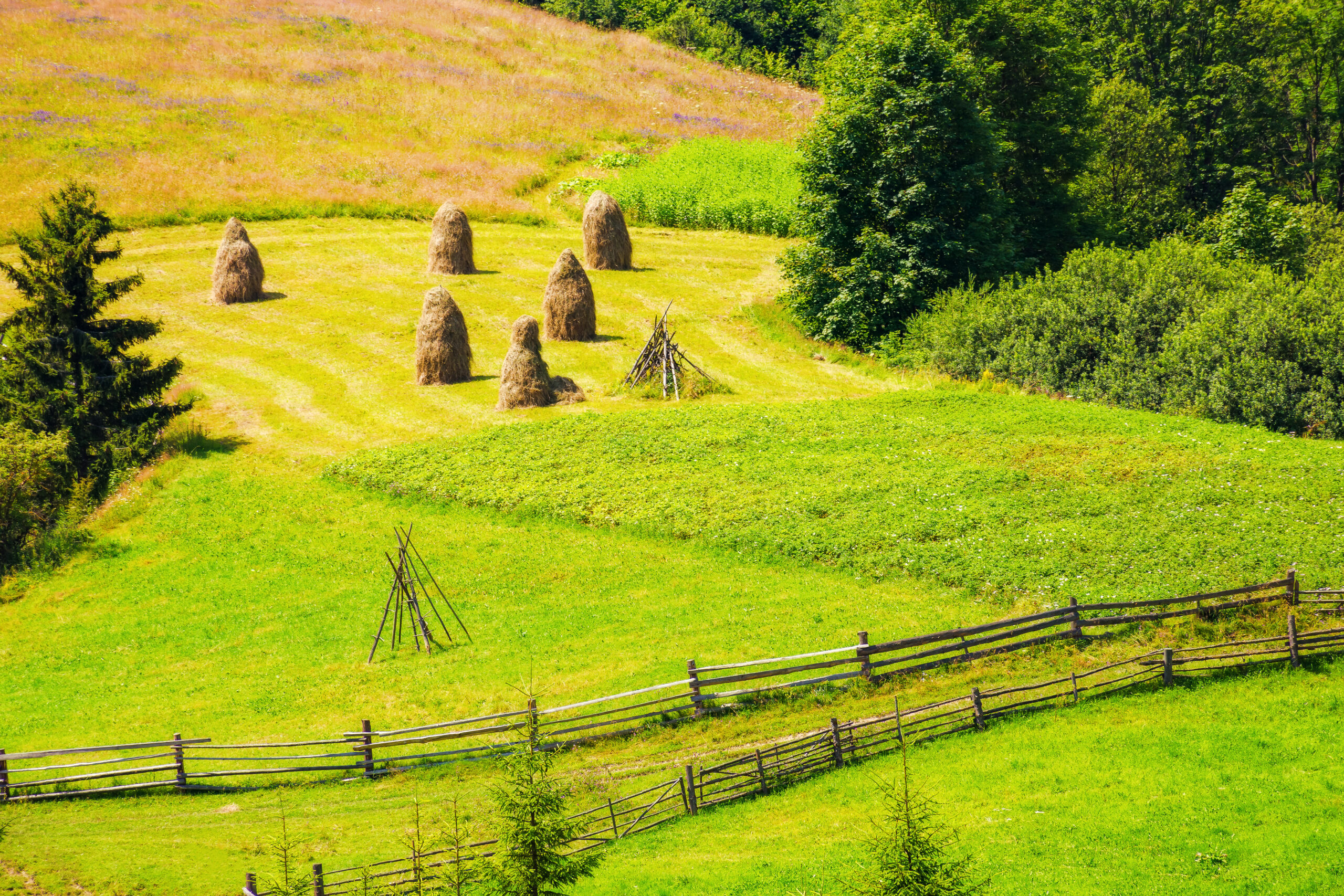 Zártkert művelés alóli kivonása dombos vidéken, szénabálákkal és zöld legelővel