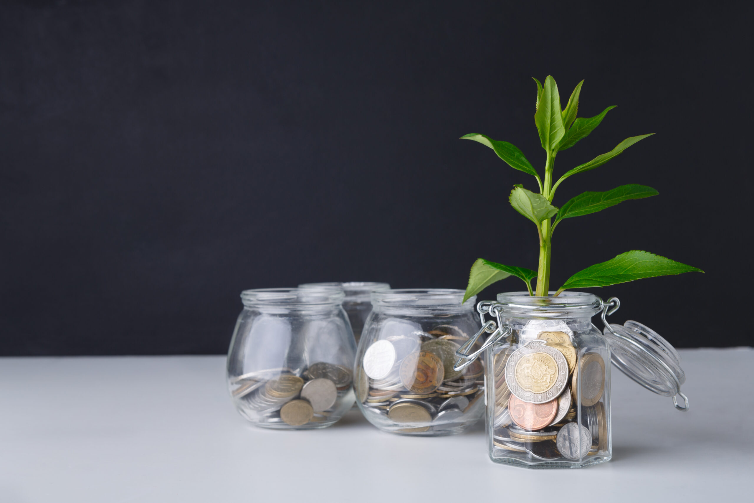 Növekedést jelképező pénzügyi megtakarítás befőttesüvegben